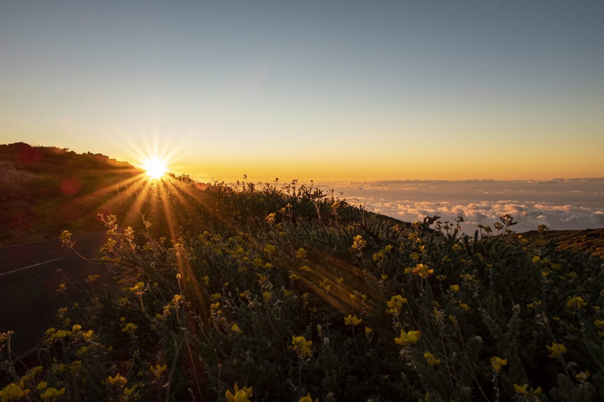 Sonnenuntergang über La Palma