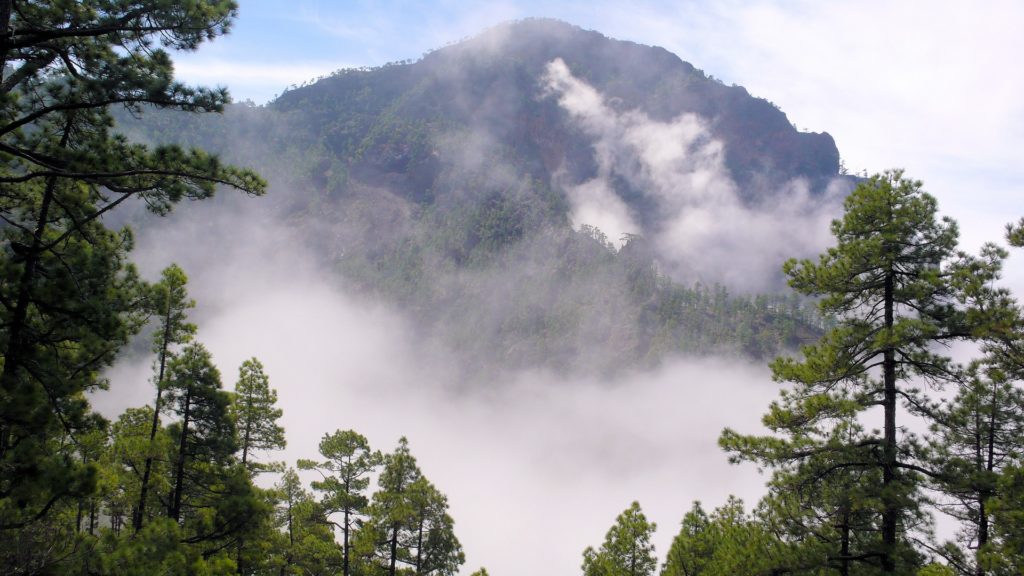 Wandern auf La Palma