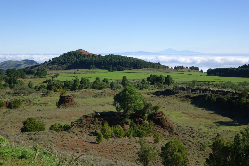 Landschaft auf El Hierro: Überraschend grün
