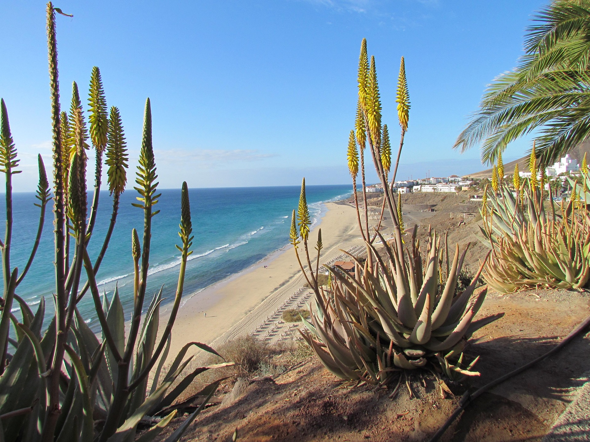 Top 10 Highlights auf Fuerteventura